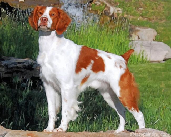 Cute Brittany Spaniel Paint By Numbers.jpg