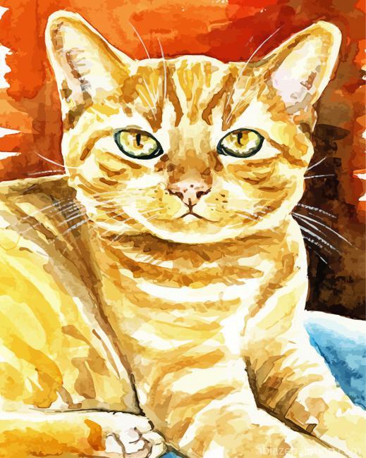 Orange Tabby Cat Paint By Numbers.jpg