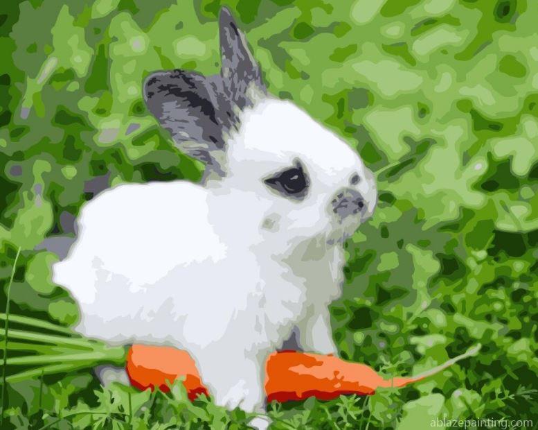 Cute Bunny Animals Paint By Numbers.jpg