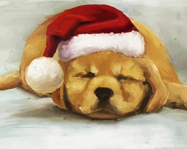 Sleepy Santa Puppy Paint By Numbers.jpg