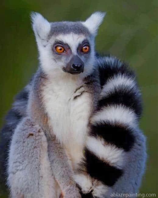 Ring Tailed Lemur Animal Paint By Numbers.jpg