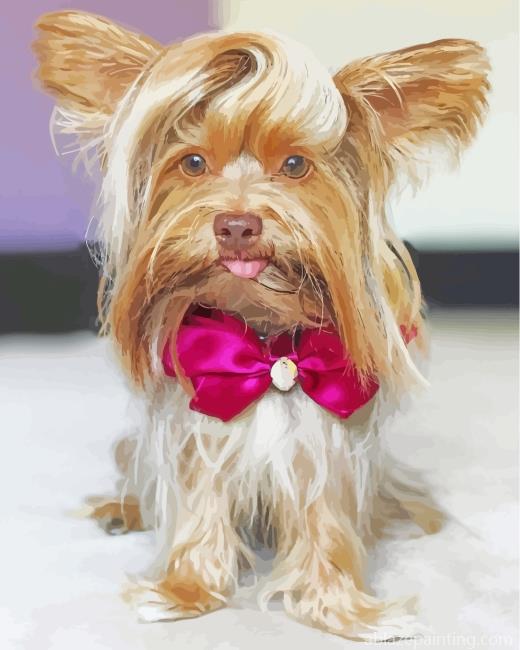 Yorkie With Tie Bow Paint By Numbers.jpg