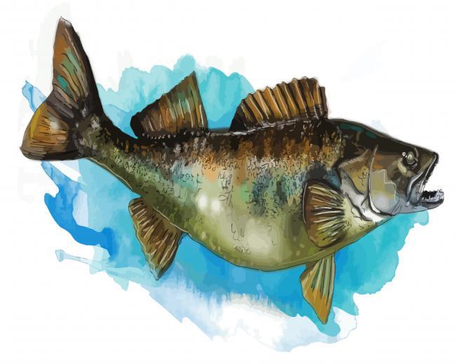 The Walleye Fish Art Paint By Numbers.jpg
