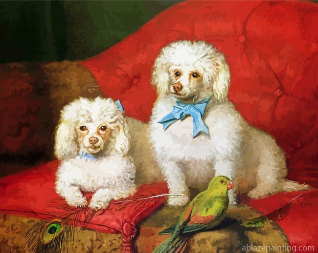 Poodle Dogs Paint By Numbers.jpg