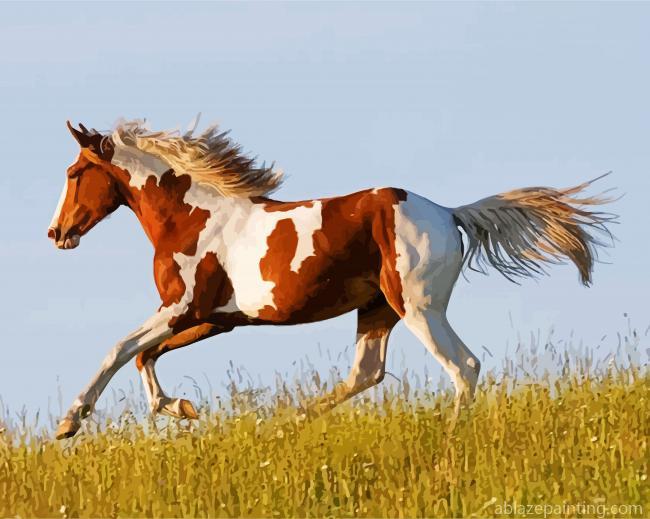 American Paint Horse Running Paint By Numbers.jpg