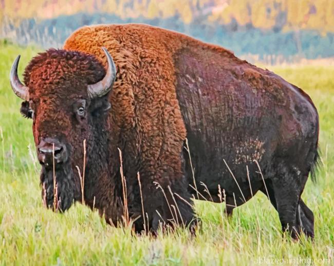 American Bison Paint By Numbers.jpg