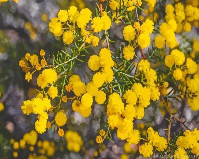 Yellow Wattle Paint By Numbers.jpg