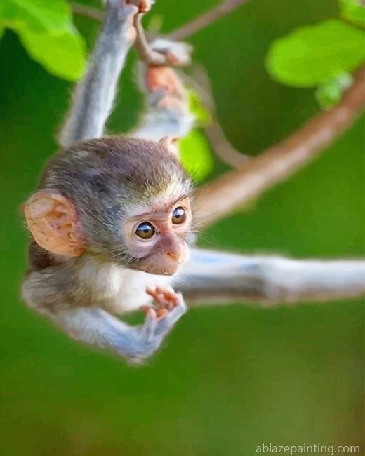 Baby Monkey New Paint By Numbers.jpg
