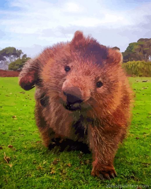 Wombat Animal Paint By Numbers.jpg