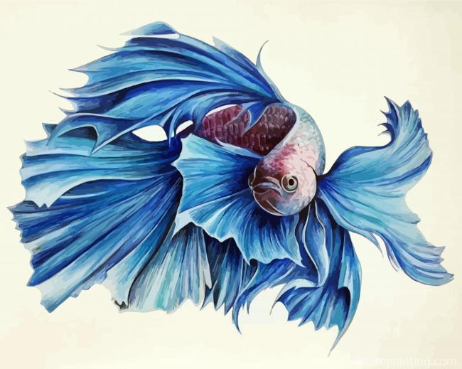 Blue Siamese Fish Paint By Numbers.jpg