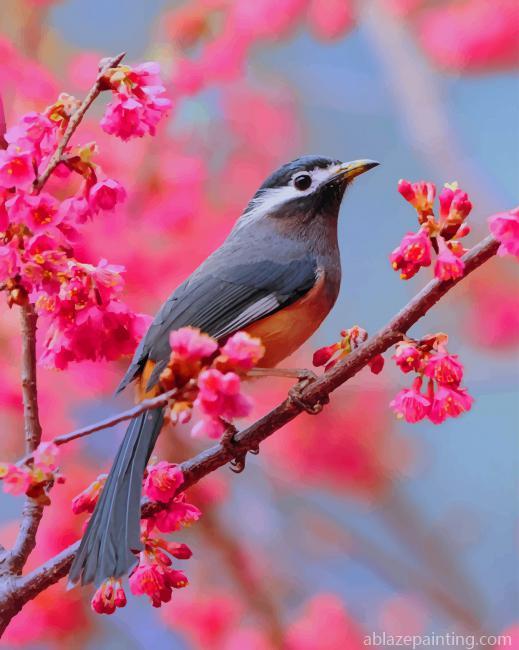 Bird In Cherry Blossom New Paint By Numbers.jpg