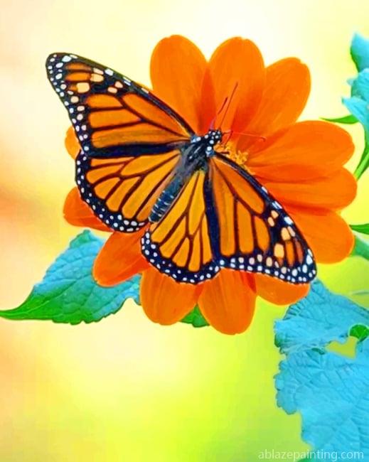 Orange And Black Butterfly New Paint By Numbers.jpg