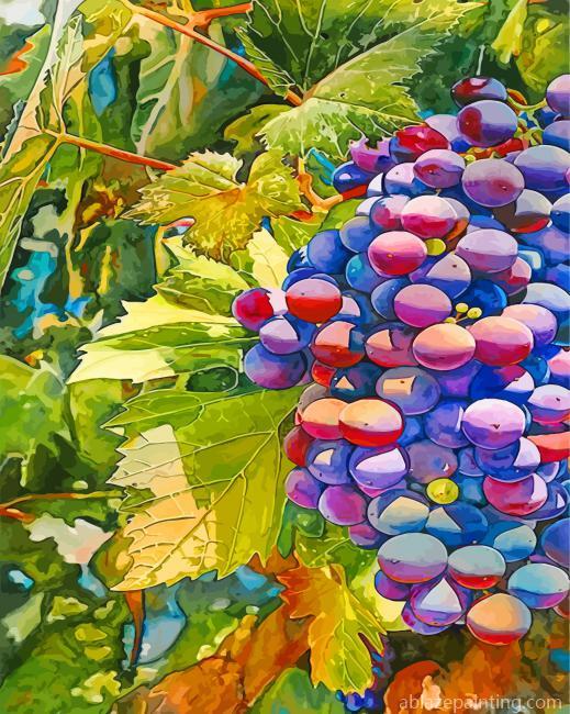 Aesthetics Grapes Fruits Paint By Numbers.jpg
