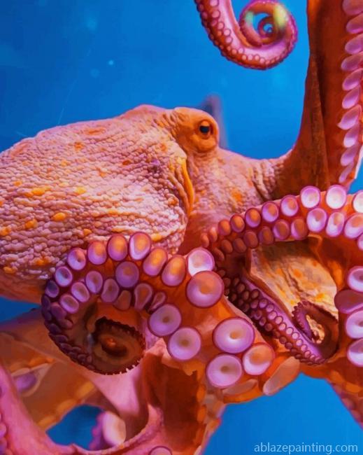 Octopus Animal New Paint By Numbers.jpg