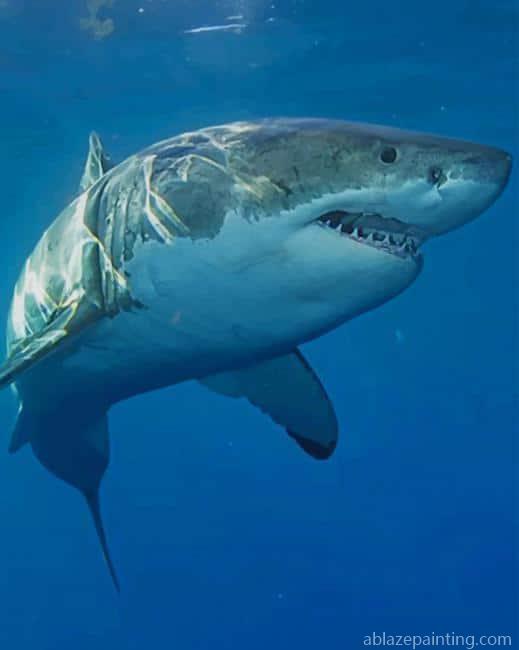 Scary Shark New Paint By Numbers.jpg