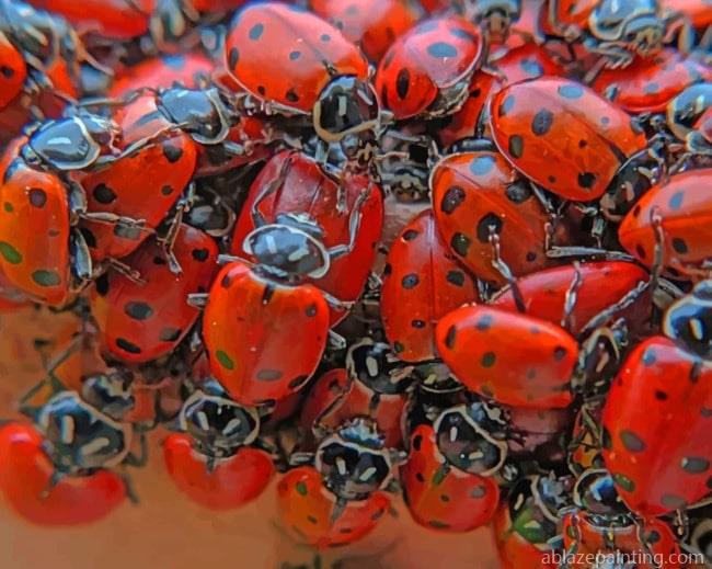 A Swarm Of Lady Bugs Insects Paint By Numbers.jpg