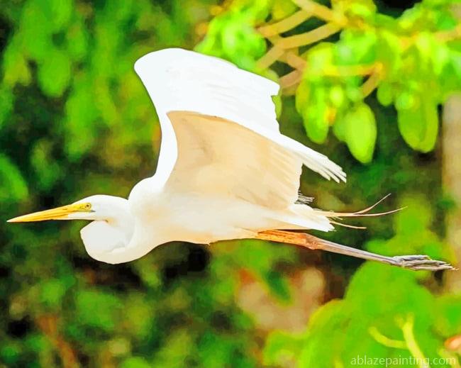 Great Egret Bird Animals Paint By Numbers.jpg