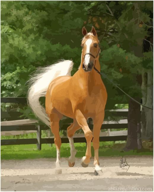 Palomino Gold Horse New Paint By Numbers.jpg