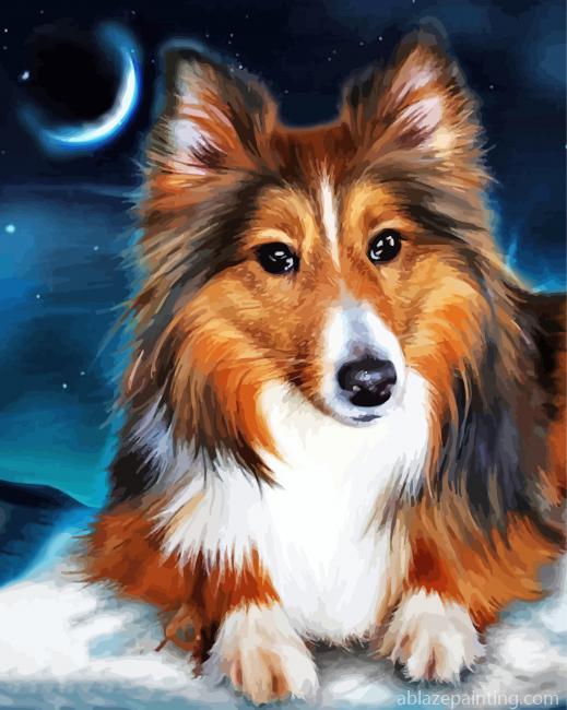 Adorable Sheltie Dog Paint By Numbers.jpg