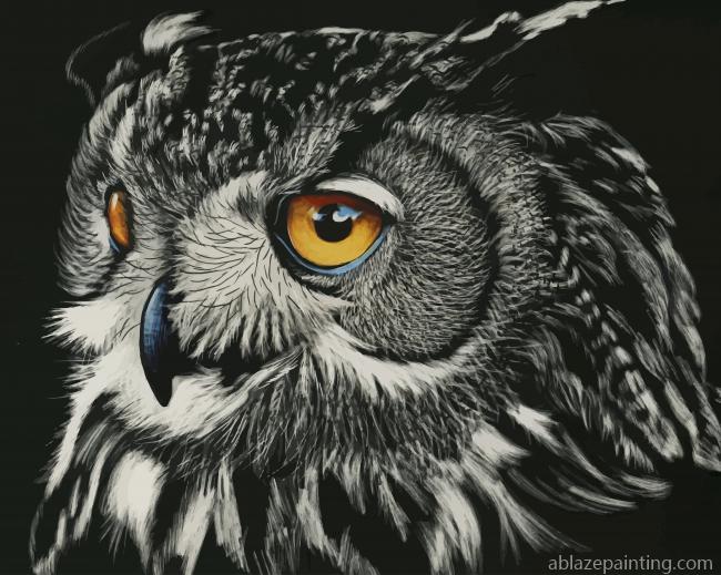 Owl Artwork New Paint By Numbers.jpg