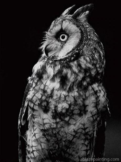 Black And White Owl Birds Paint By Numbers.jpg
