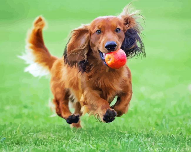 Running Long Haired Dachshund Paint By Numbers.jpg