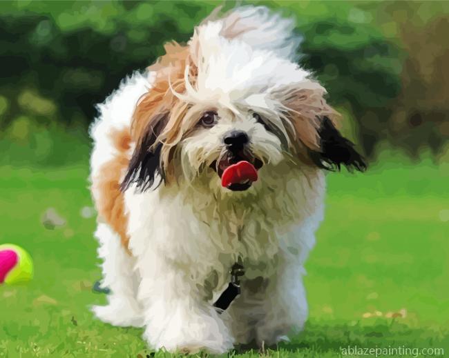 Lhassa Apso Dog Animal Paint By Numbers.jpg