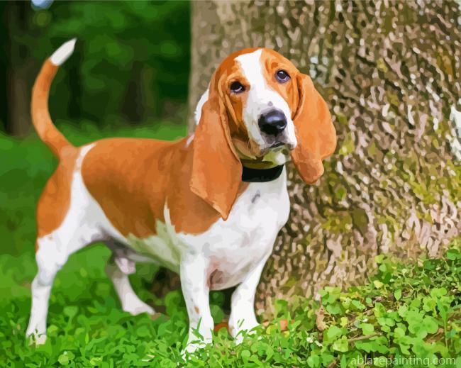 Basset Hound Puppy Paint By Numbers.jpg