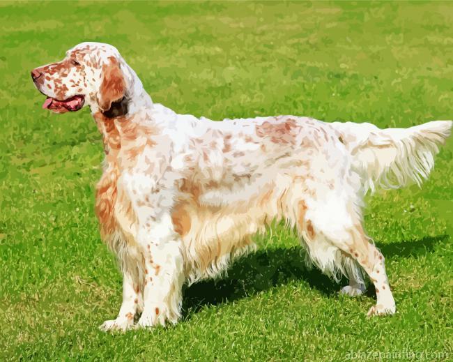 Adorable English Setter Paint By Numbers.jpg