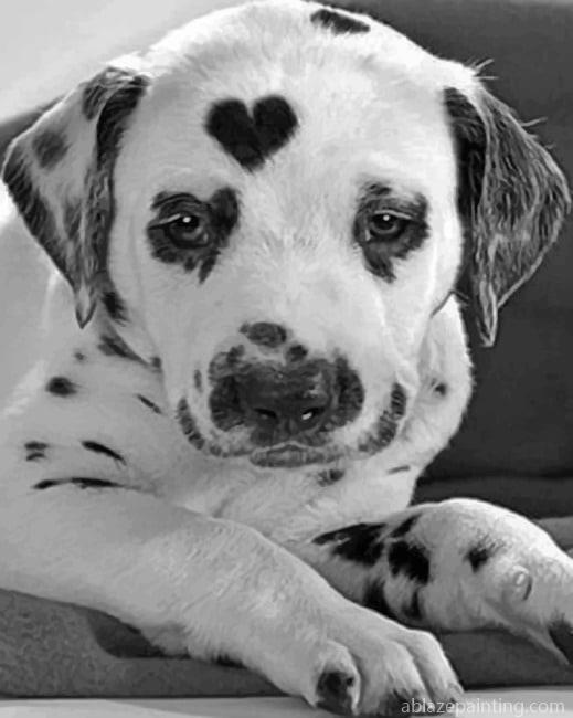 Black And White Dalmatian Animals Paint By Numbers.jpg
