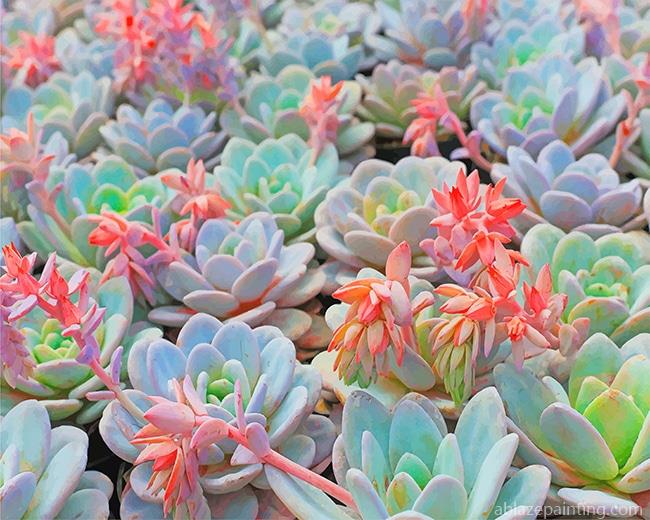 Succulent Plant New Paint By Numbers.jpg