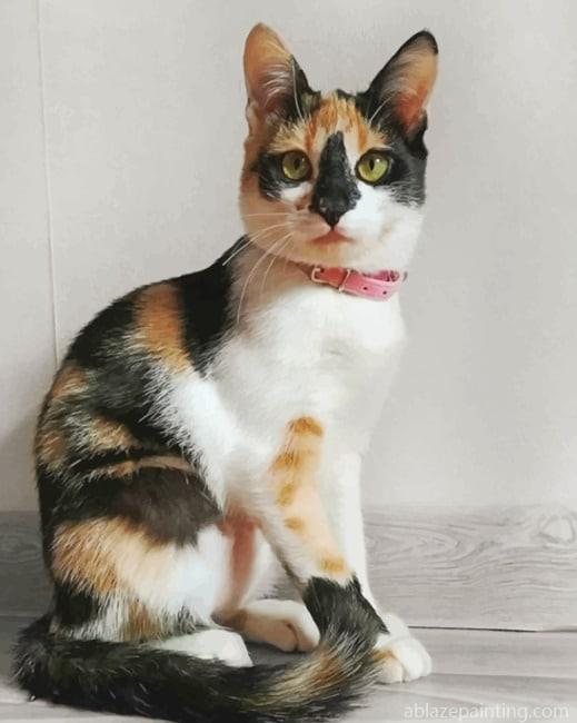 Cute Calico Cat New Paint By Numbers.jpg