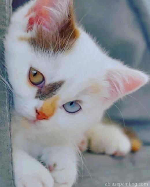 Kitten With Blue And Brown Eyes New Paint By Numbers.jpg