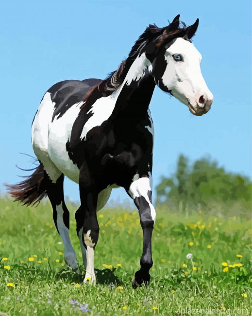 Black And White American Paint Horse Paint By Numbers.jpg