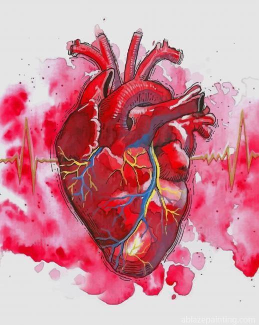 Watercolor Human Heart New Paint By Numbers.jpg