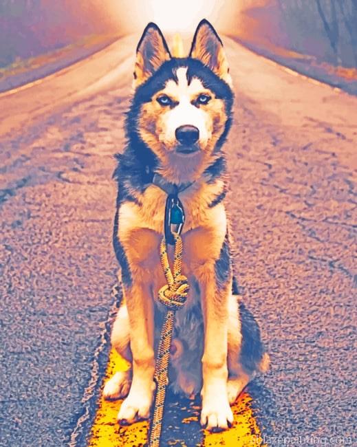 Siberian Husky In Road New Paint By Numbers.jpg