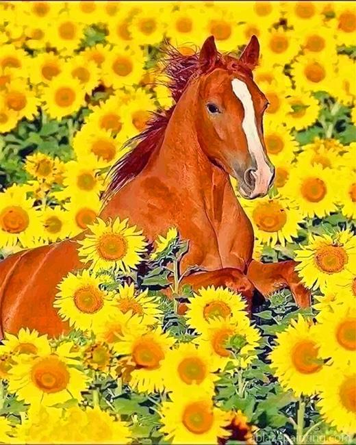 Cute Horse Sunflowers New Paint By Numbers.jpg