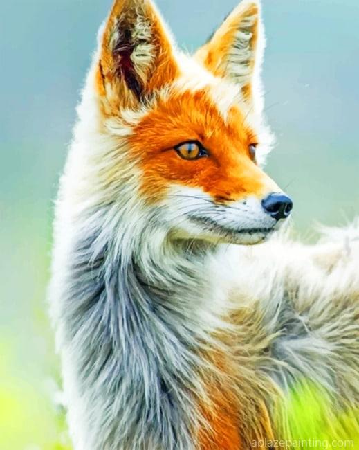 White And Orange Fox New Paint By Numbers.jpg