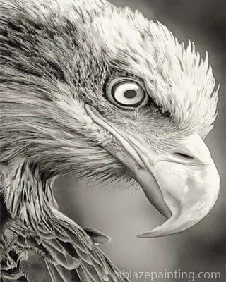 Black And White Bald Eagle New Paint By Numbers.jpg