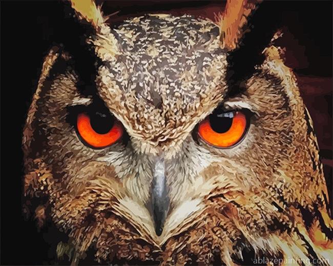 Red Owl Eyes New Paint By Numbers.jpg
