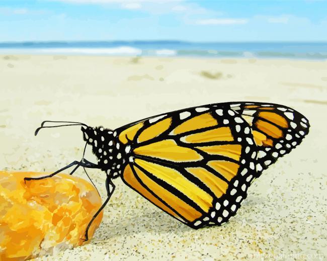 Butterfly And Beach Paint By Numbers.jpg