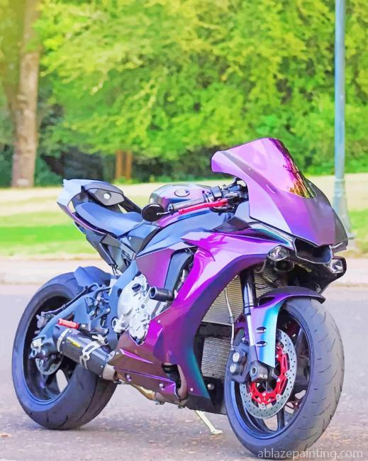 Purple Motorcycle New Paint By Numbers.jpg