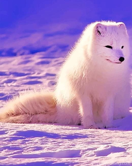 Lovely Arctic Fox New Paint By Numbers.jpg