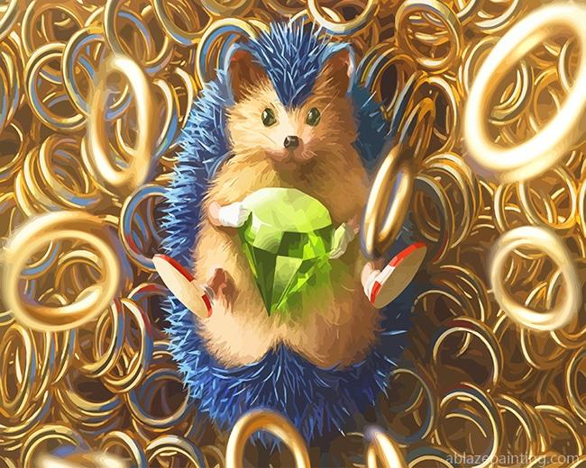 Sonic The Hedge New Paint By Numbers.jpg