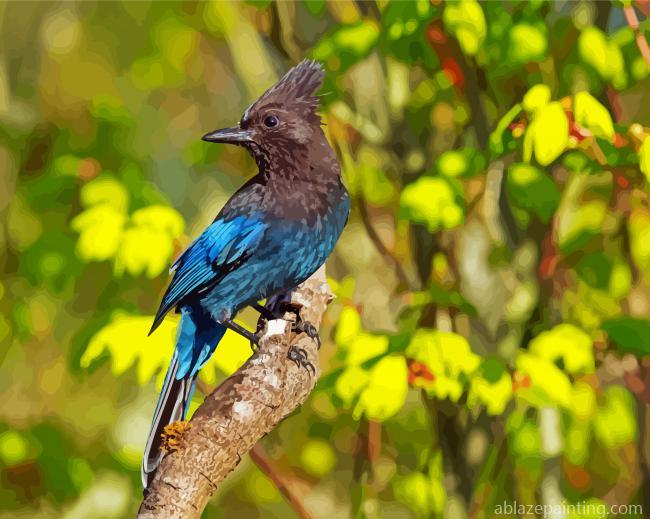 Stellers Jay Bird On Branch Paint By Numbers.jpg