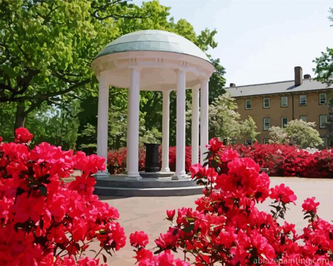 University Of North Carolina At Chapel Hill Paint By Numbers.jpg