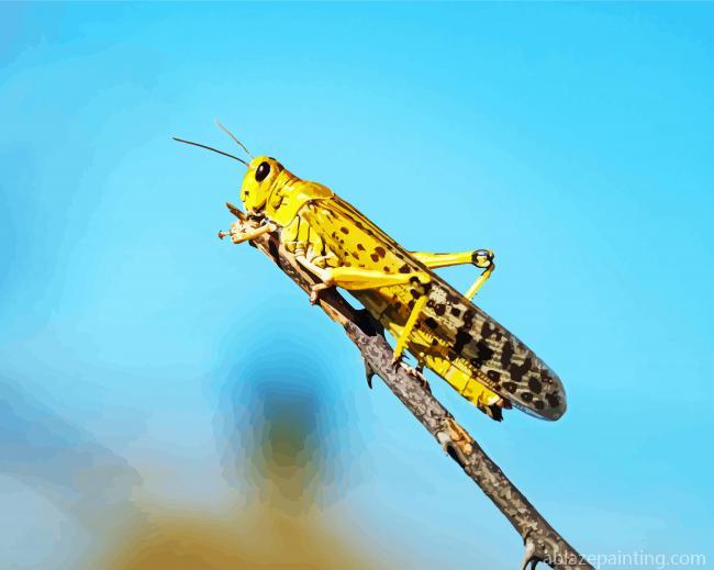 Locust Insect Paint By Numbers.jpg