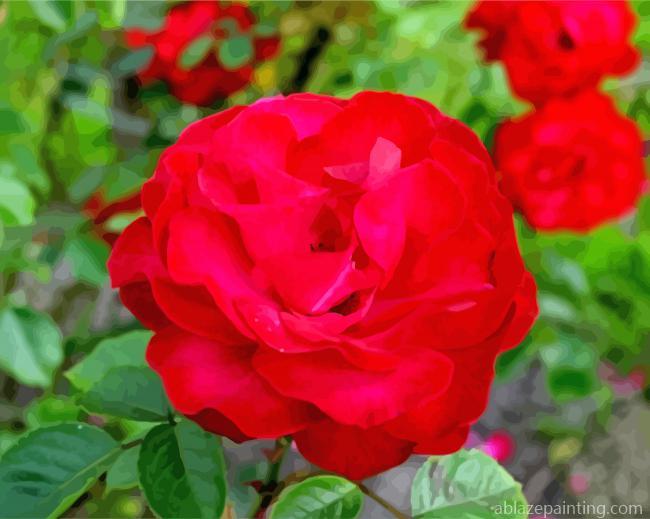 Red China Rose Paint By Numbers.jpg