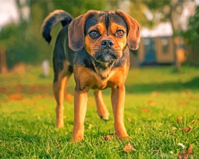 The Puggle Dog Paint By Numbers.jpg